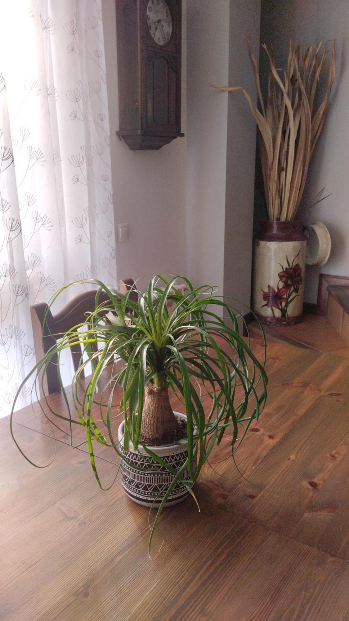 El Balcon De Villapresente 외부 사진